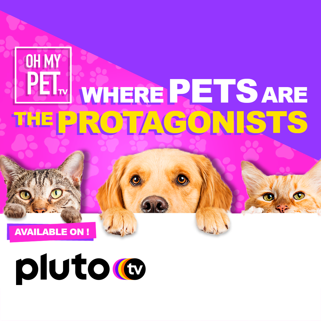 OH MY PET TV! Where pets are the protagonists